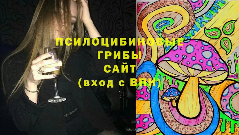 Псилоцибиновые грибы мухоморы Верея